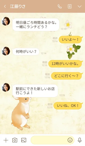 [LINE着せ替え] うさぎと苺の画像4