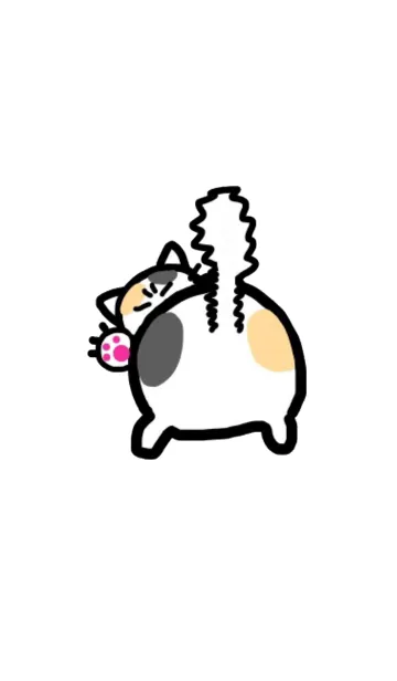 [LINE着せ替え] プリケツ猫 シンプルホワイトの画像1