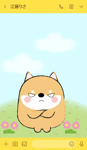 [LINE着せ替え] My Fat Cute Shiba Inu Theme (jp)の画像3