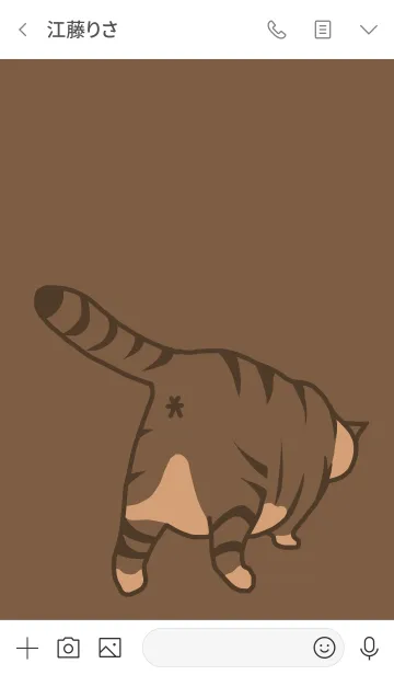 [LINE着せ替え] ネコ爽爽の画像3