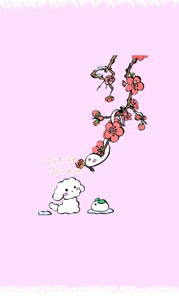 [LINE着せ替え] マルチーズのクゥンちゃんの画像1