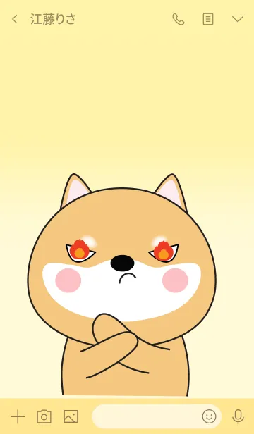 [LINE着せ替え] Cutie Shiba Inu Theme (jp)の画像3