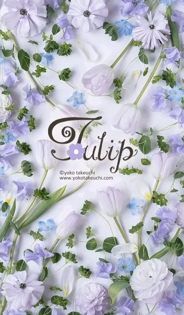 [LINE着せ替え] Tulip～爽やかなチューリップ～の画像1