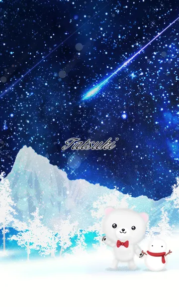 [LINE着せ替え] たつき☆大人可愛いシロクマ-冬の夜空-の画像1