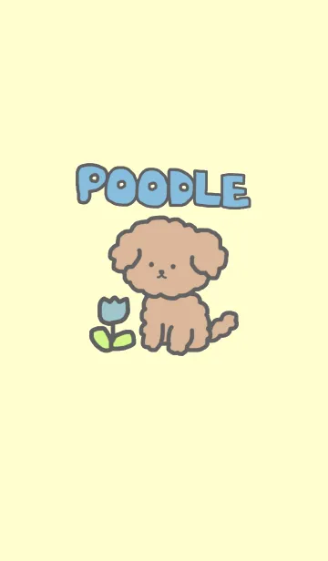 [LINE着せ替え] もこもこトイプードル着せ替えの画像1