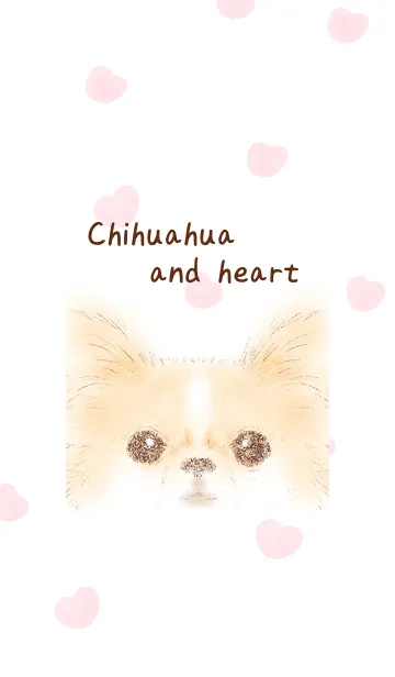 [LINE着せ替え] Chihuahua and heartの画像1