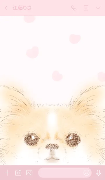 [LINE着せ替え] Chihuahua and heartの画像3