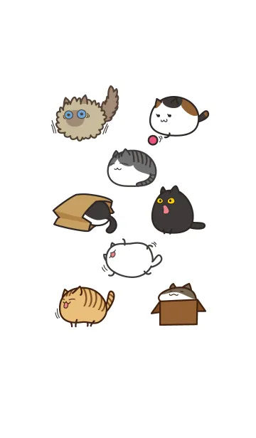 [LINE着せ替え] ふっくら猫の画像1
