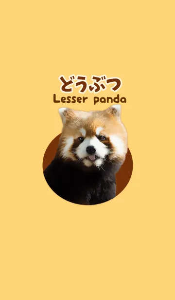 [LINE着せ替え] どうぶつ Lesser pandaの画像1