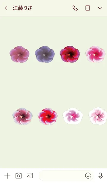 [LINE着せ替え] Hibiscus rosa-sinensisの画像3
