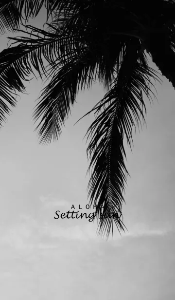 [LINE着せ替え] ALOHA -Setting sun- 16.の画像1