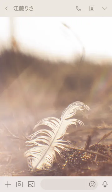 [LINE着せ替え] Feather With RainbowFlareの画像3