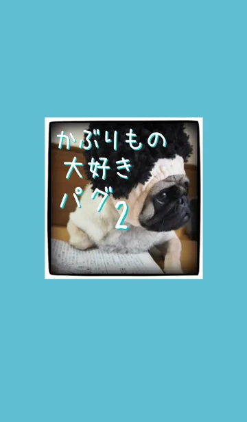 [LINE着せ替え] かぶりもの大好きパグです2の画像1