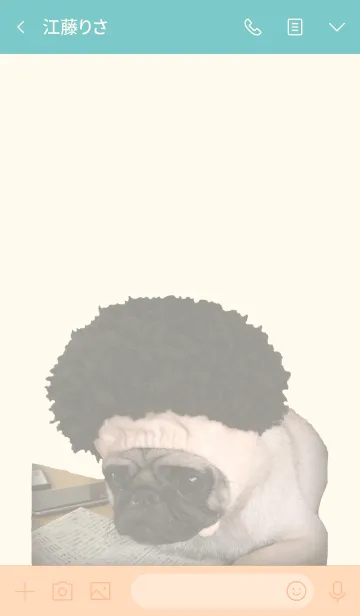 [LINE着せ替え] かぶりもの大好きパグです2の画像3