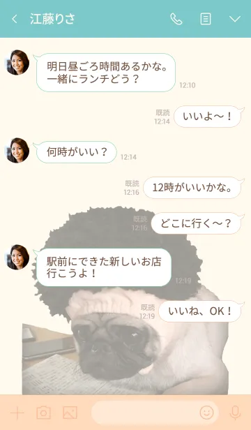 [LINE着せ替え] かぶりもの大好きパグです2の画像4