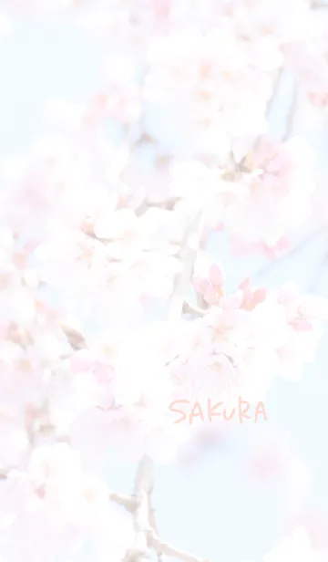 [LINE着せ替え] 〜桜のきせかえ〜の画像1