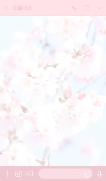 [LINE着せ替え] 〜桜のきせかえ〜の画像3