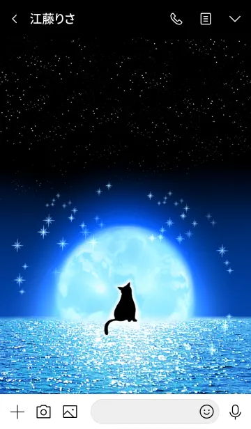 [LINE着せ替え] 月が浮かぶ夜の海と猫の画像3