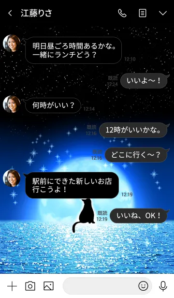 [LINE着せ替え] 月が浮かぶ夜の海と猫の画像4