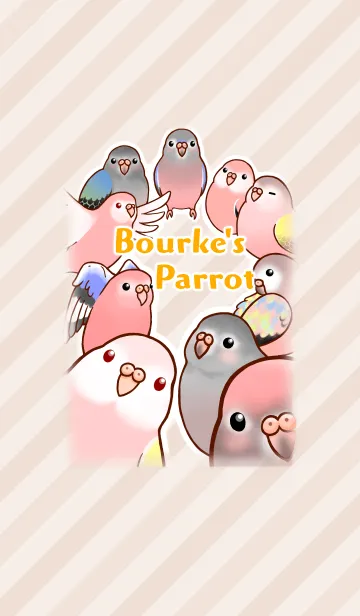 [LINE着せ替え] アキクサインコの着せかえの画像1