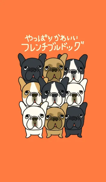 [LINE着せ替え] やっぱりかわいいフレンチブルドッグの画像1