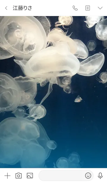 [LINE着せ替え] クラゲ3の画像3