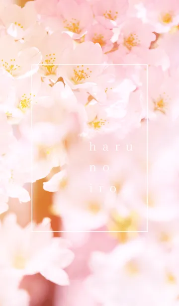 [LINE着せ替え] 春のいろ。 桜 × ピンクの画像1