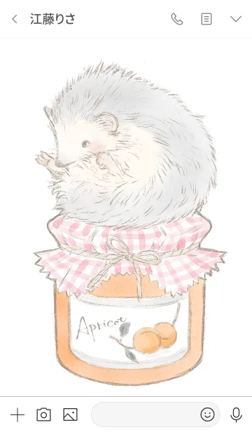 [LINE着せ替え] Hedgehog and Apricot jamの画像3