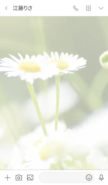 [LINE着せ替え] 白い花のきせかえの画像3
