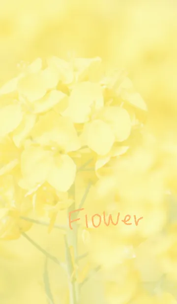 [LINE着せ替え] 黄色い花のきせかえの画像1