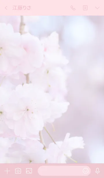 [LINE着せ替え] 〜桜のきせかえ2〜の画像3
