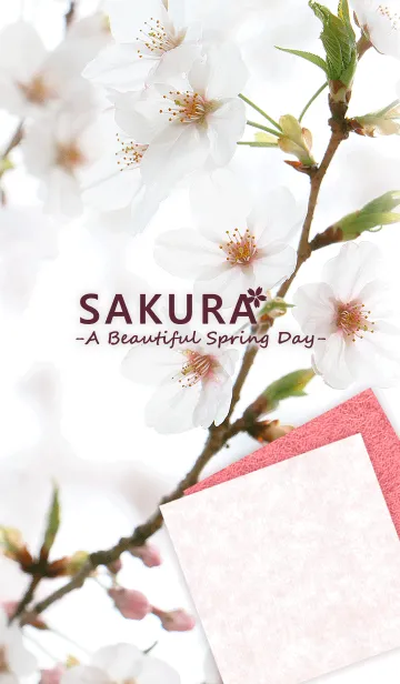 [LINE着せ替え] SAKURA - A Beautiful Spring Day -の画像1