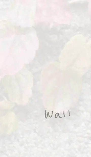 [LINE着せ替え] シンプルな壁のきせかえの画像1