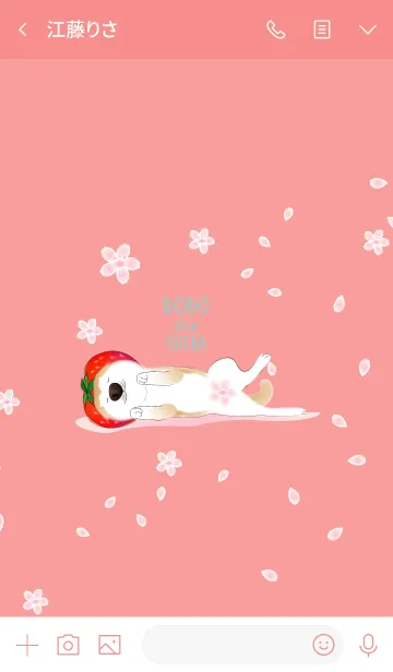 [LINE着せ替え] 柴犬ドォドォ桜と練乳イチゴバージョンの画像3