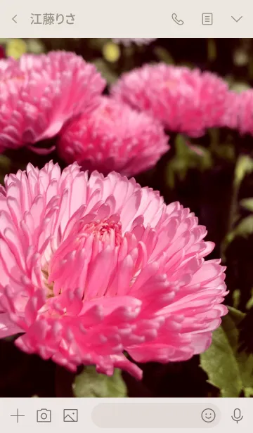 [LINE着せ替え] Flower 3 -Daisy-の画像3