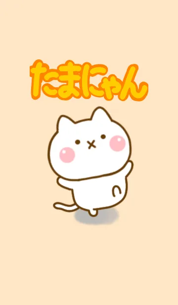 たまにゃんのきせかえだよの着せ替えメイン画像
