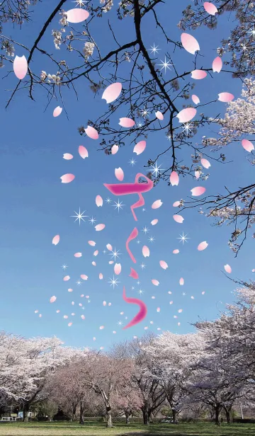 [LINE着せ替え] 桜の花吹雪の画像1