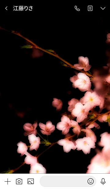 [LINE着せ替え] 夜桜 - Moment of Glossy Night -の画像3