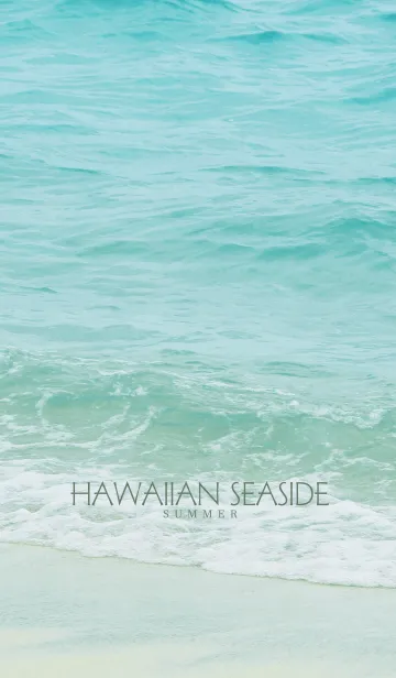 [LINE着せ替え] HAWAIIAN SEASIDE. 11 -SUMMER-の画像1