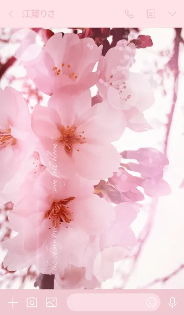 [LINE着せ替え] 桜ノ花ノ、咲ク頃。とろみピンクの画像3