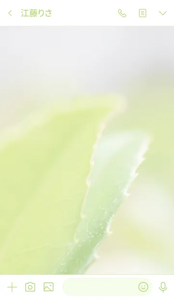 [LINE着せ替え] リーフのきせかえの画像3