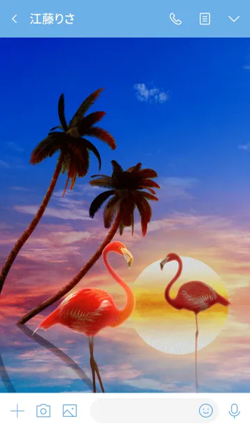 [LINE着せ替え] Palm ＆ Flamingosの画像3