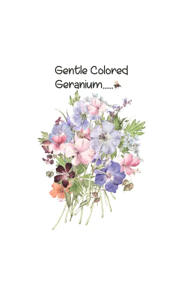 [LINE着せ替え] gentle colored geraniumの画像1