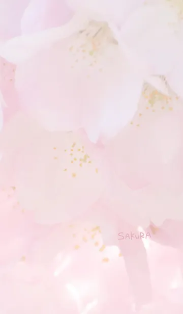 [LINE着せ替え] 〜桜のきせかえ7〜の画像1