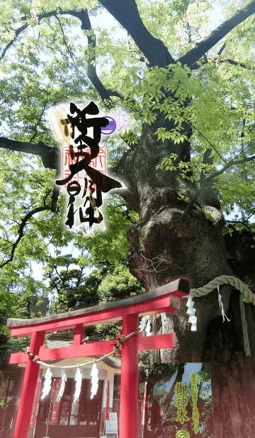 [LINE着せ替え] 新田神社 必勝開運・恋愛成就の画像1