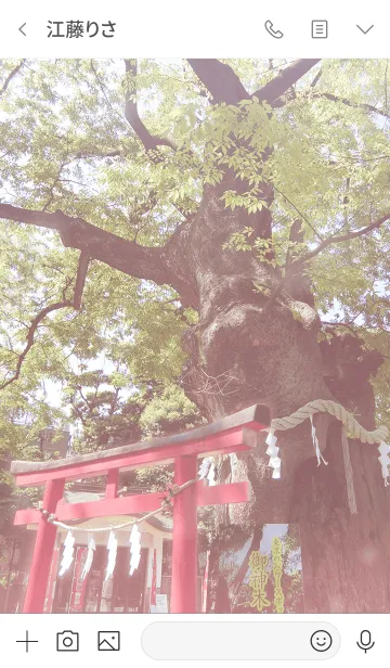 [LINE着せ替え] 新田神社 必勝開運・恋愛成就の画像3