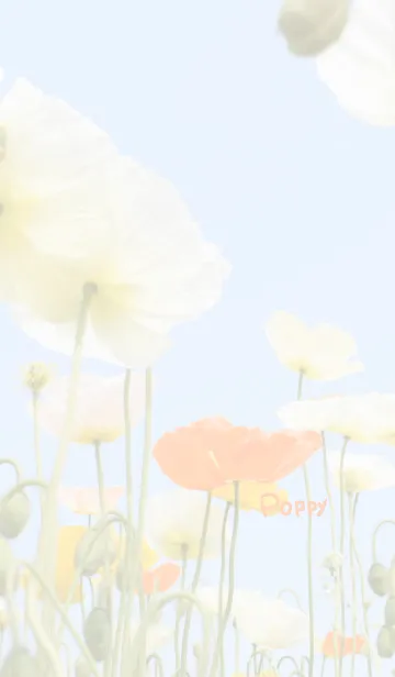 [LINE着せ替え] ポピーのきせかえ2の画像1