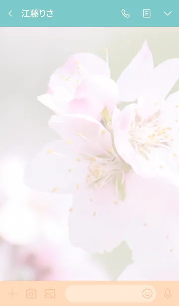 [LINE着せ替え] アーモンドのきせかえの画像3