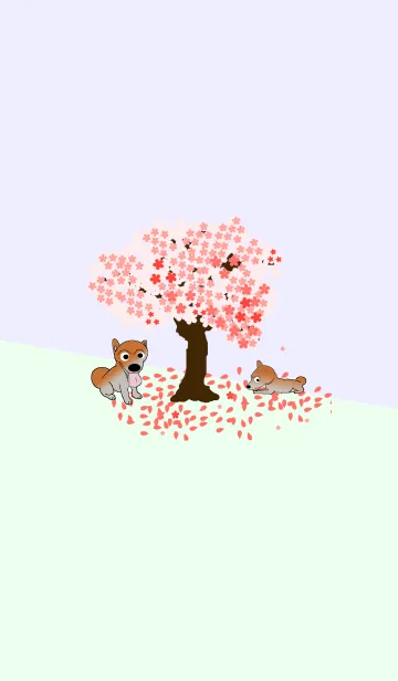 [LINE着せ替え] 桜の木と柴犬（Shiba dog）の画像1