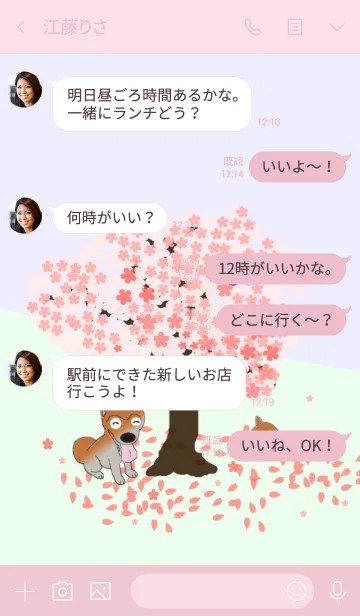 [LINE着せ替え] 桜の木と柴犬（Shiba dog）の画像4